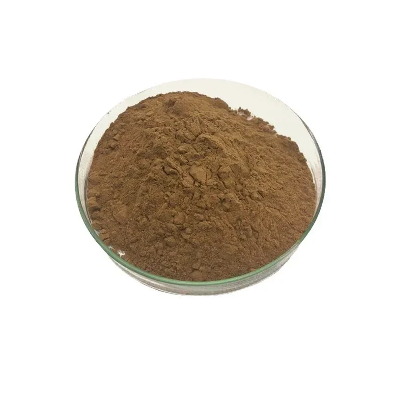 Esponja de especias, polvo lio - Hair Care Dupes reseña y precio