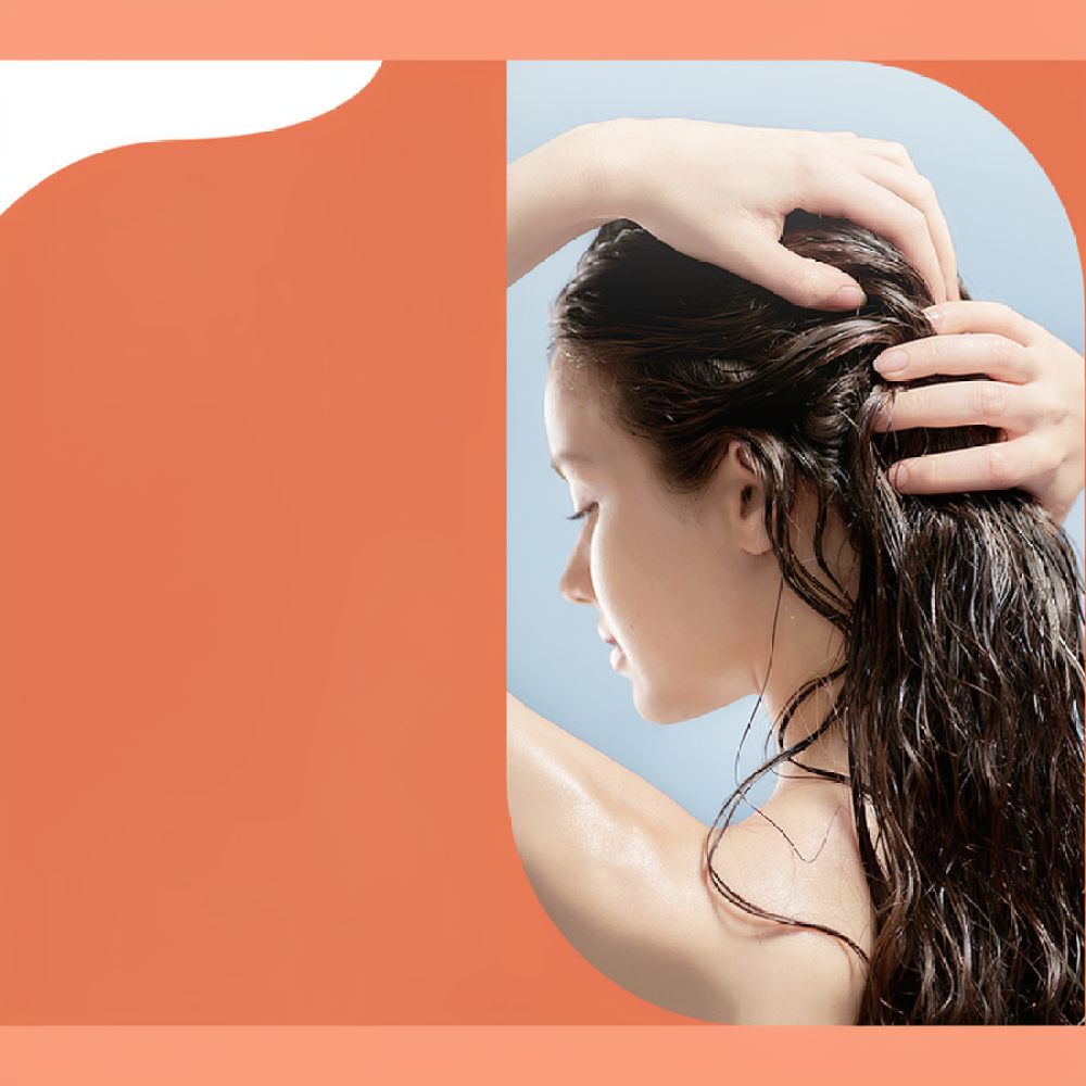Barra de champú artesanal con  - Hair Care Daily Routine reseña y precio
